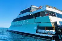 Cruiseskip til salgs