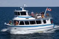 Cruiseskip til salgs