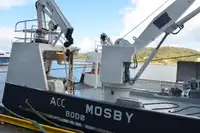 Containerskip til salgs