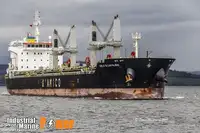 Bulktransportør til salgs