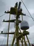 Kjøleskip til salgs