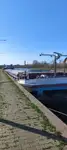 Bulktransportør til salgs