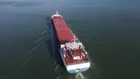 Bulktransportør til salgs