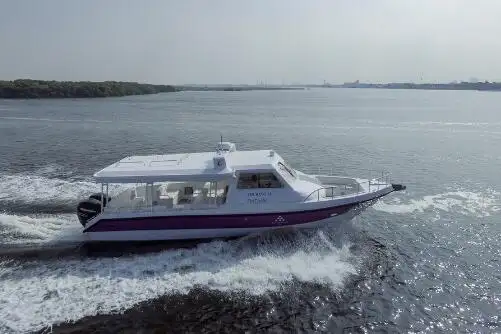 Cruiseskip til salgs