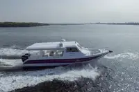 Cruiseskip til salgs