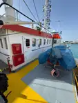 Containerskip til salgs