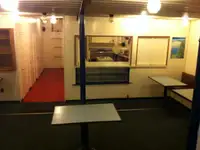 Cruiseskip til salgs