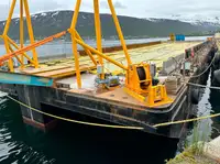Taubåt til salgs