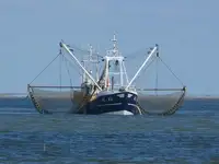 Trawler til salgs