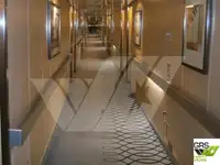 Cruiseskip til salgs