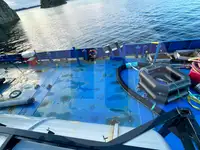 Bulkskip til salgs