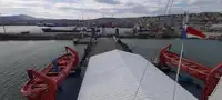 Bulktransportør til salgs