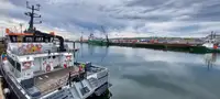 Katamaran til salgs