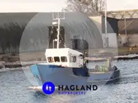 Levende fiskebærer til salgs