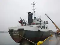 Bulktransportør til salgs