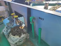 Containerskip til salgs