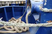 Slepebåt til salgs