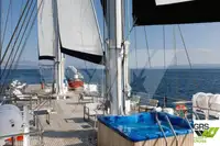 Cruiseskip til salgs