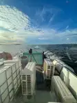 Containerskip til salgs