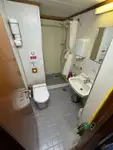 Containerskip til salgs