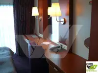 Cruiseskip til salgs