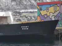 Ro-Ro-skip til salgs