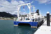 Cruiseskip til salgs
