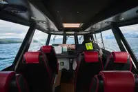 Patruljebåt til salgs
