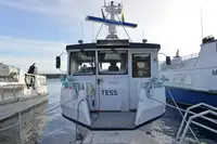 Cruiseskip til salgs