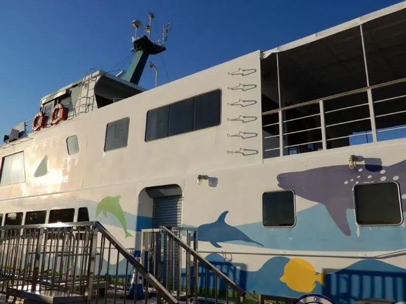 Cruiseskip til salgs
