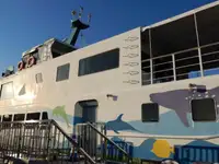 Cruiseskip til salgs