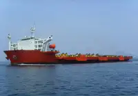 Bulktransportør til salgs