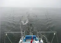 Kartleggingsfartøy til salgs