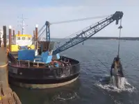 Dredge til salgs