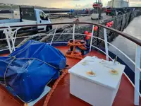Cruiseskip til salgs