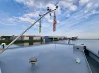 Bulktransportør til salgs