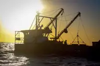 Arbeidsbåter til salgs