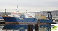 Dykkestøtte til salgs