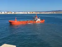 Containerskip til salgs