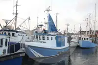 Levende fiskebåt til salgs
