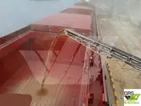 Bulktransportør til salgs