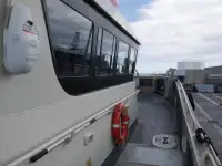 Katamaran til salgs