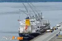 Bulktransportør til salgs