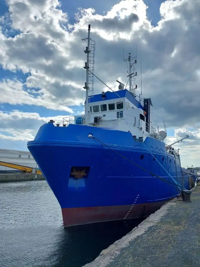 Containerskip til salgs