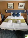 Cruiseskip til salgs