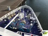 Cruiseskip til salgs