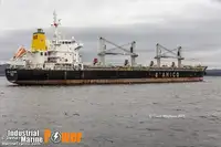 Bulktransportør til salgs