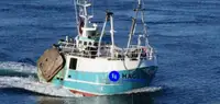 Beam trawler til salgs