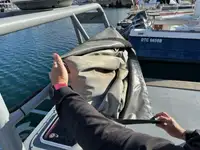 Patruljebåt til salgs