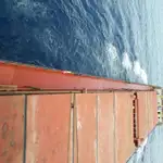Bulktransportør til salgs